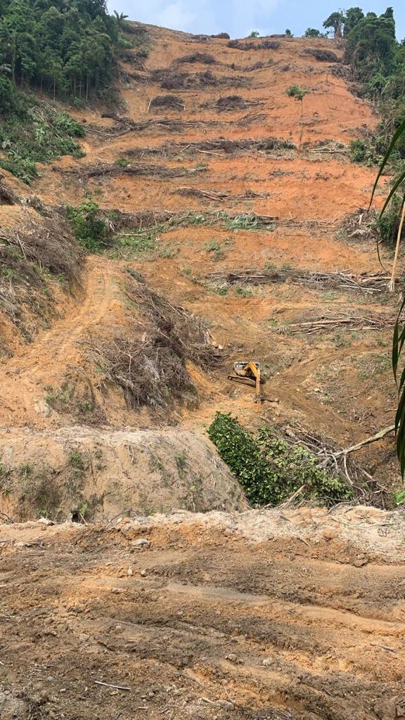 Ampangan, Seremban Agriculture Land For Sale - photo 5