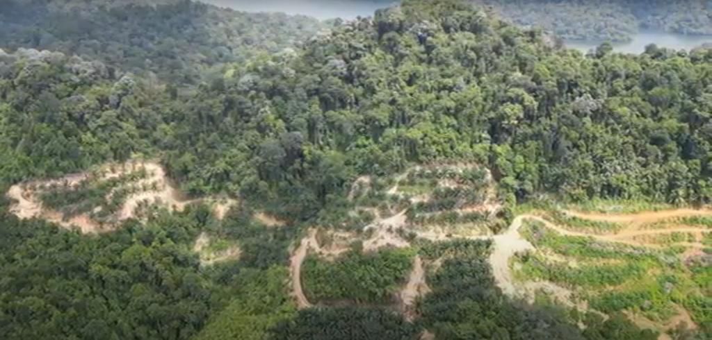 Ampangan, Seremban Agriculture Land For Sale - photo 6
