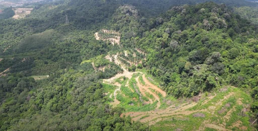 Ampangan, Seremban Agriculture Land For Sale - photo 7