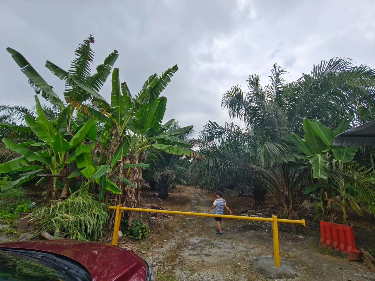 Pekan Jenjarom, Selangor Agriculture Land For Sale - photo 4