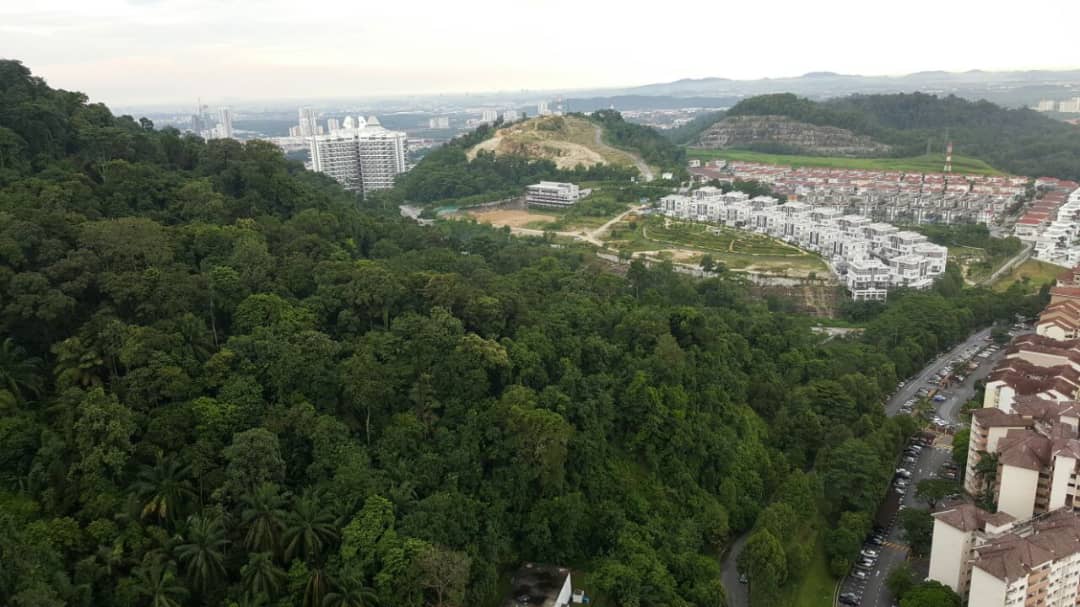 Damansara Foresta, Bandar Sri Damansara For Sale - photo 12