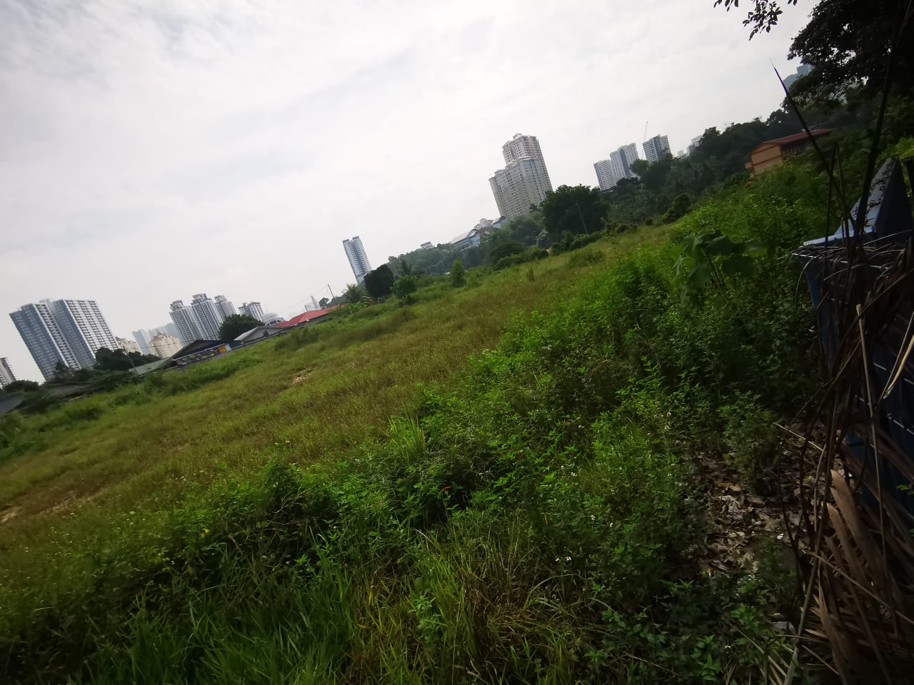 flat land for rent - photo 13