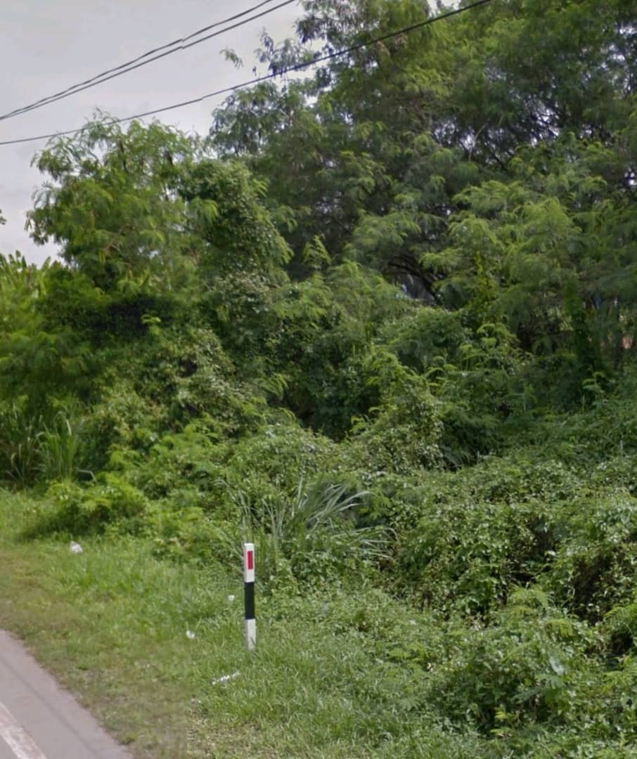 Simpang Tiga Ijok industril land for sale - photo 3