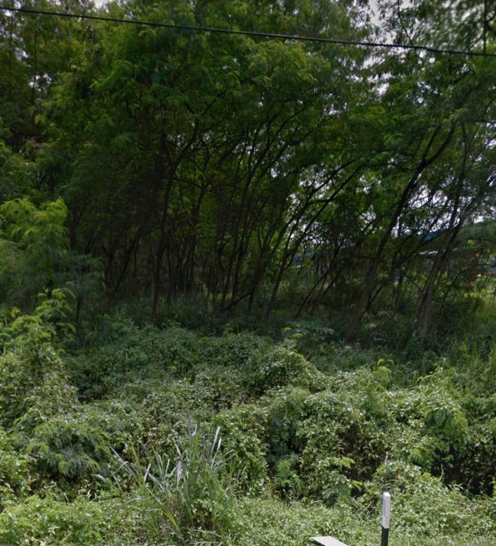 Simpang Tiga Ijok industril land for sale - photo 4