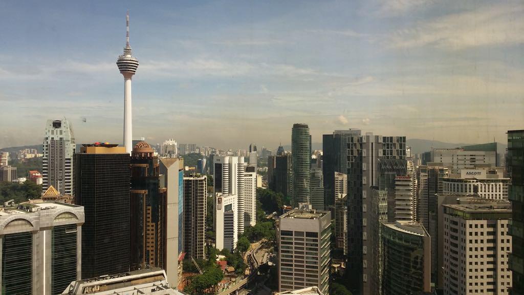 Banyan Tree For Rent - photo 5