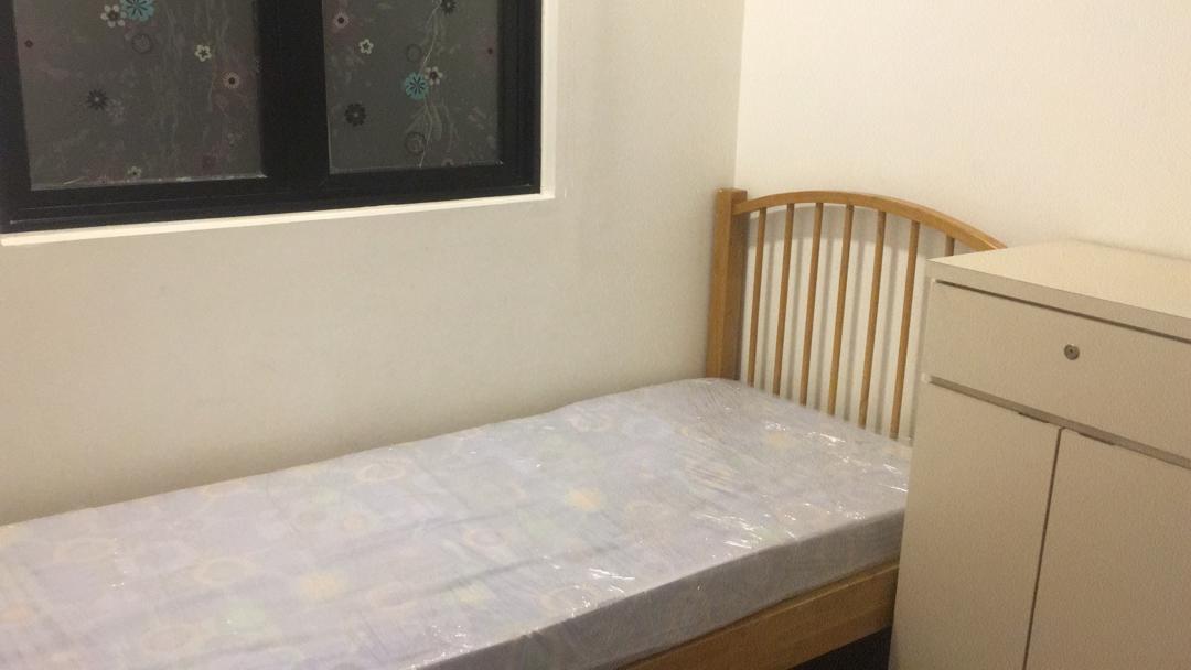The Nest For Rent - photo 6
