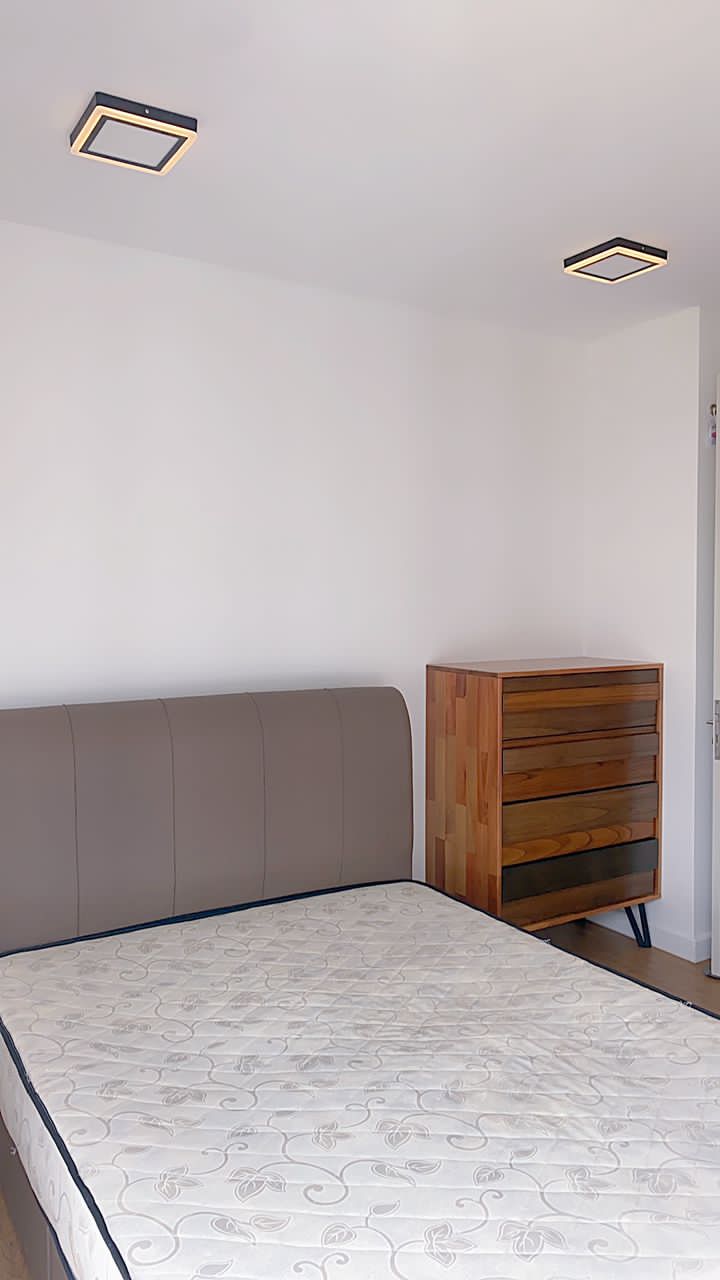Vivo Residence For Rent - photo 4