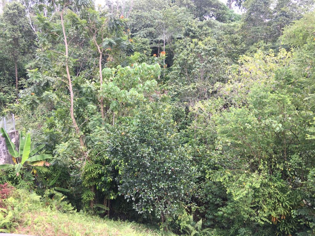 Bungalow Land with structure in Damansara Heights - photo 6