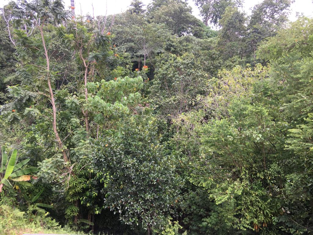 Bungalow Land with structure in Damansara Heights - photo 7