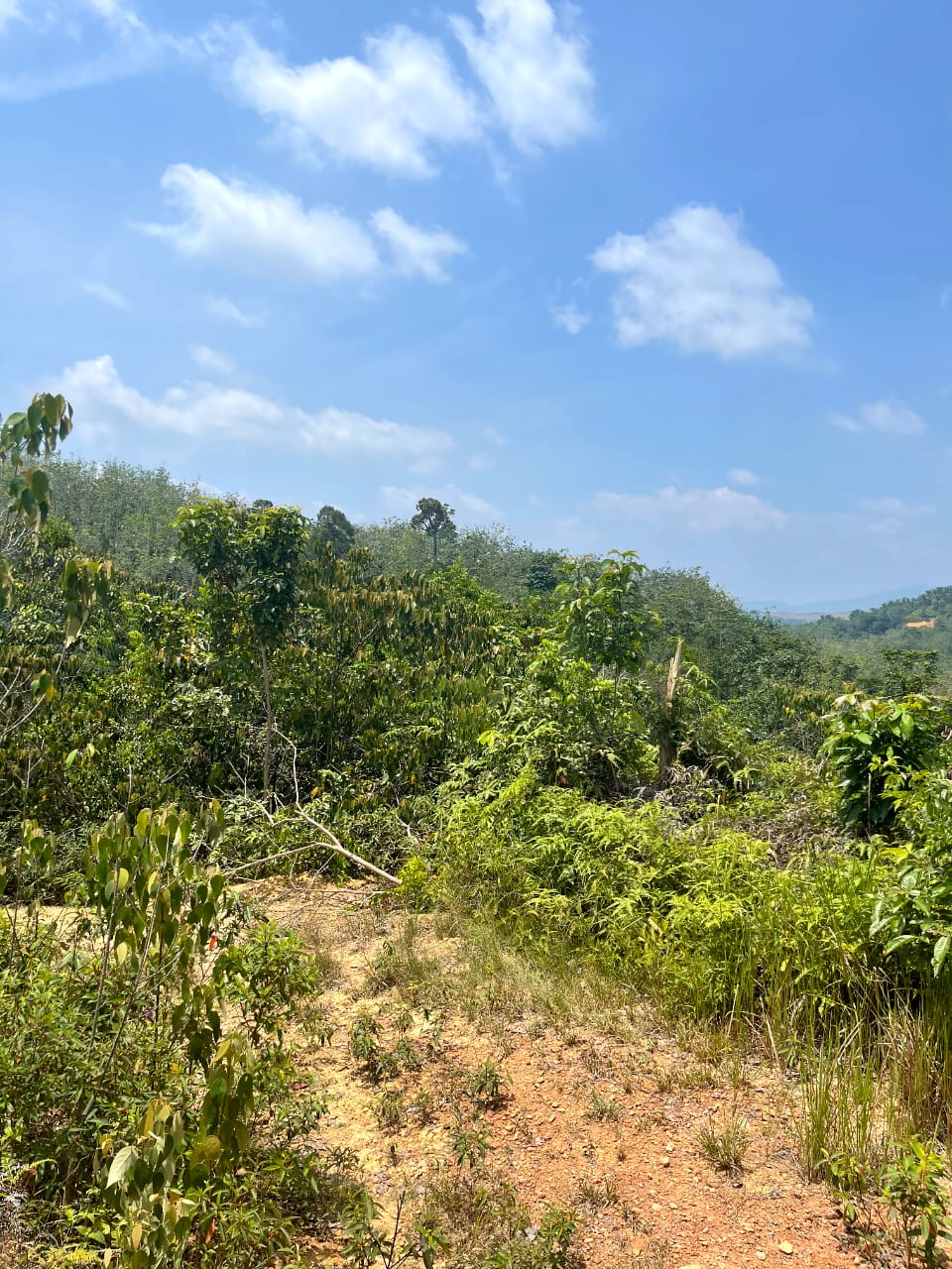 Agriculture Land for ...