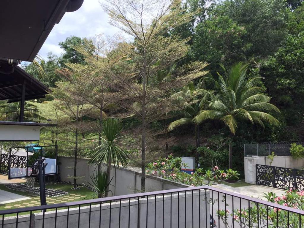 Setiahill - photo 6