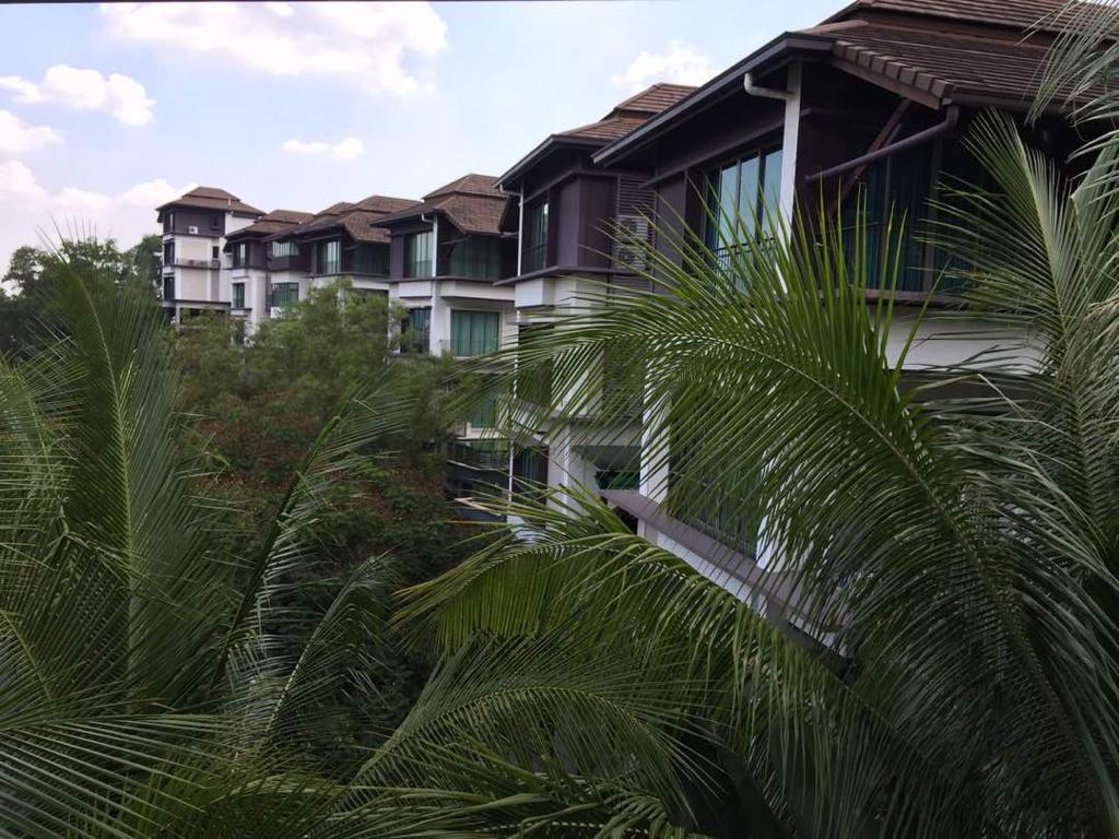 Setiahill - photo 9