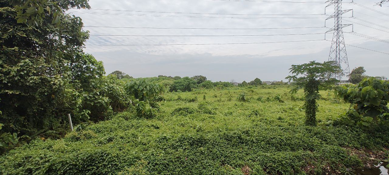 Road Side Freehold Land in Kg Ayer Puteh Kamunting - photo 2