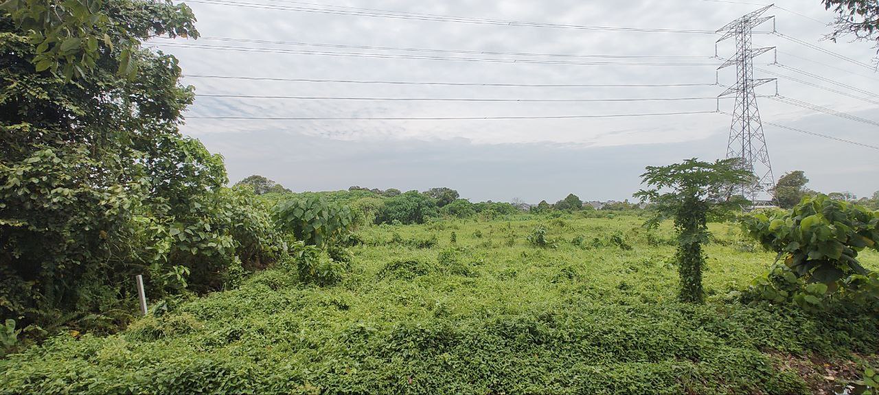 Road Side Freehold Land in Kg Ayer Puteh Kamunting - photo 3