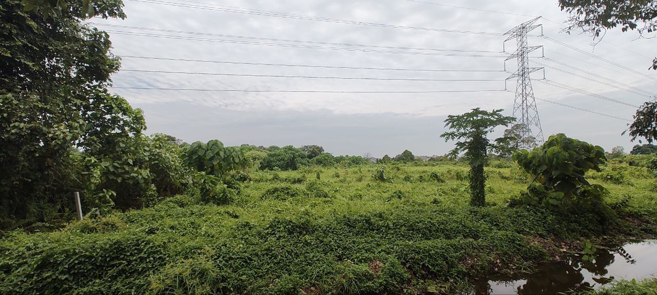 Road Side Freehold Land in Kg Ayer Puteh Kamunting - photo 4