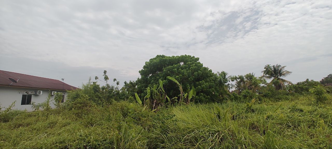 Freehold Land Lot In Kg Jana Sambungan - photo 2