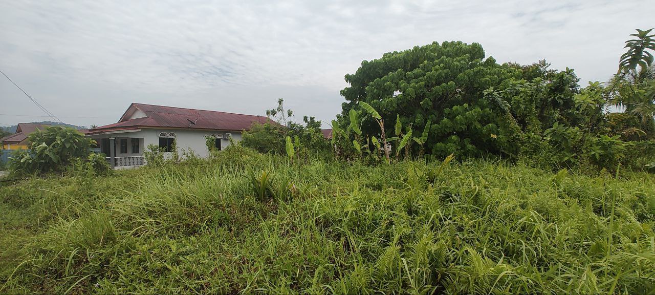 Freehold Land Lot In Kg Jana Sambungan - photo 3