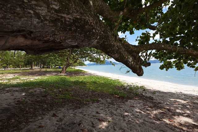 Beauty Land Teluk Senangin For Sale - photo 3
