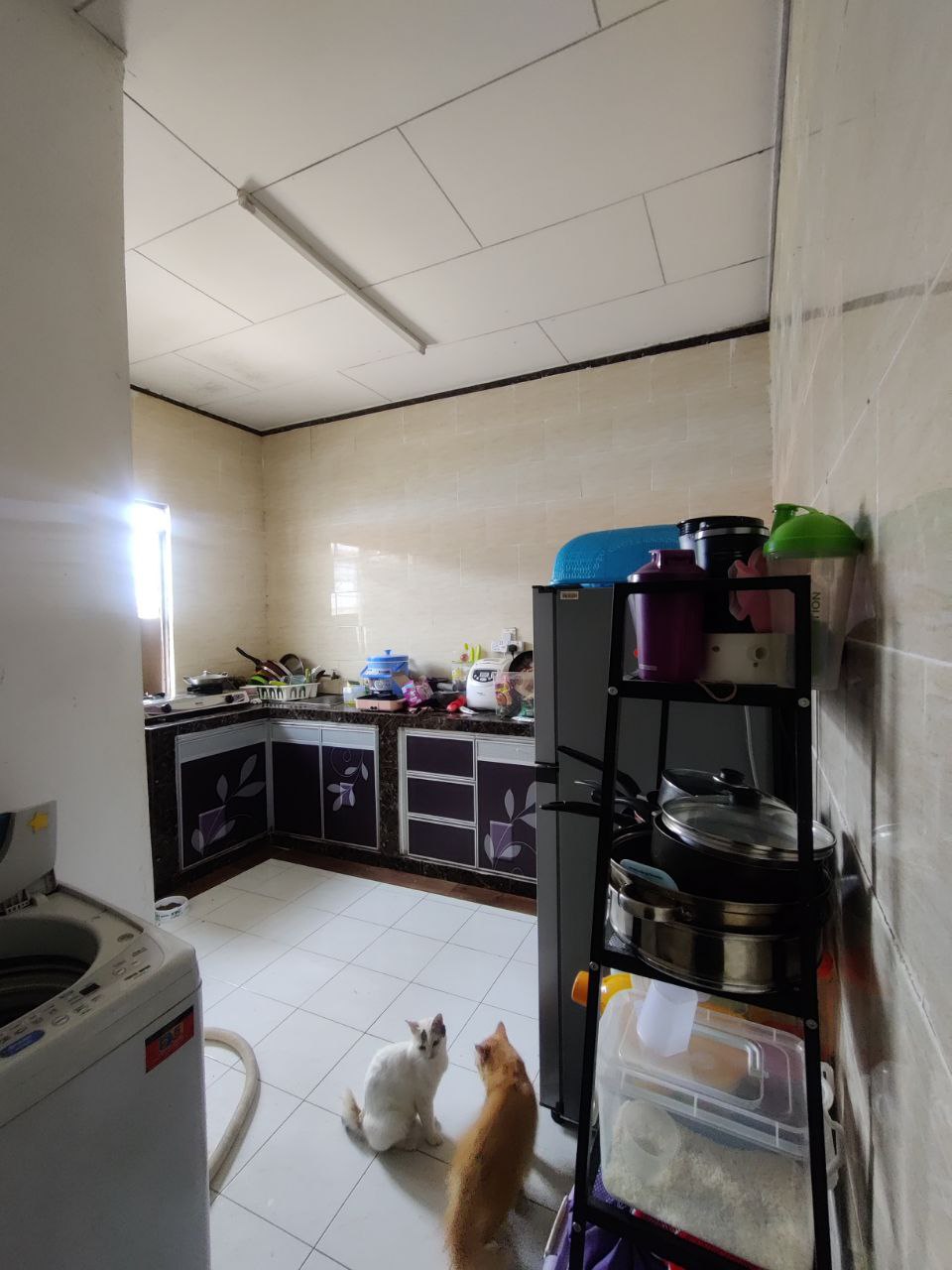 Corner Lot Single Storey Taman Aor Utama For Sale - photo 6