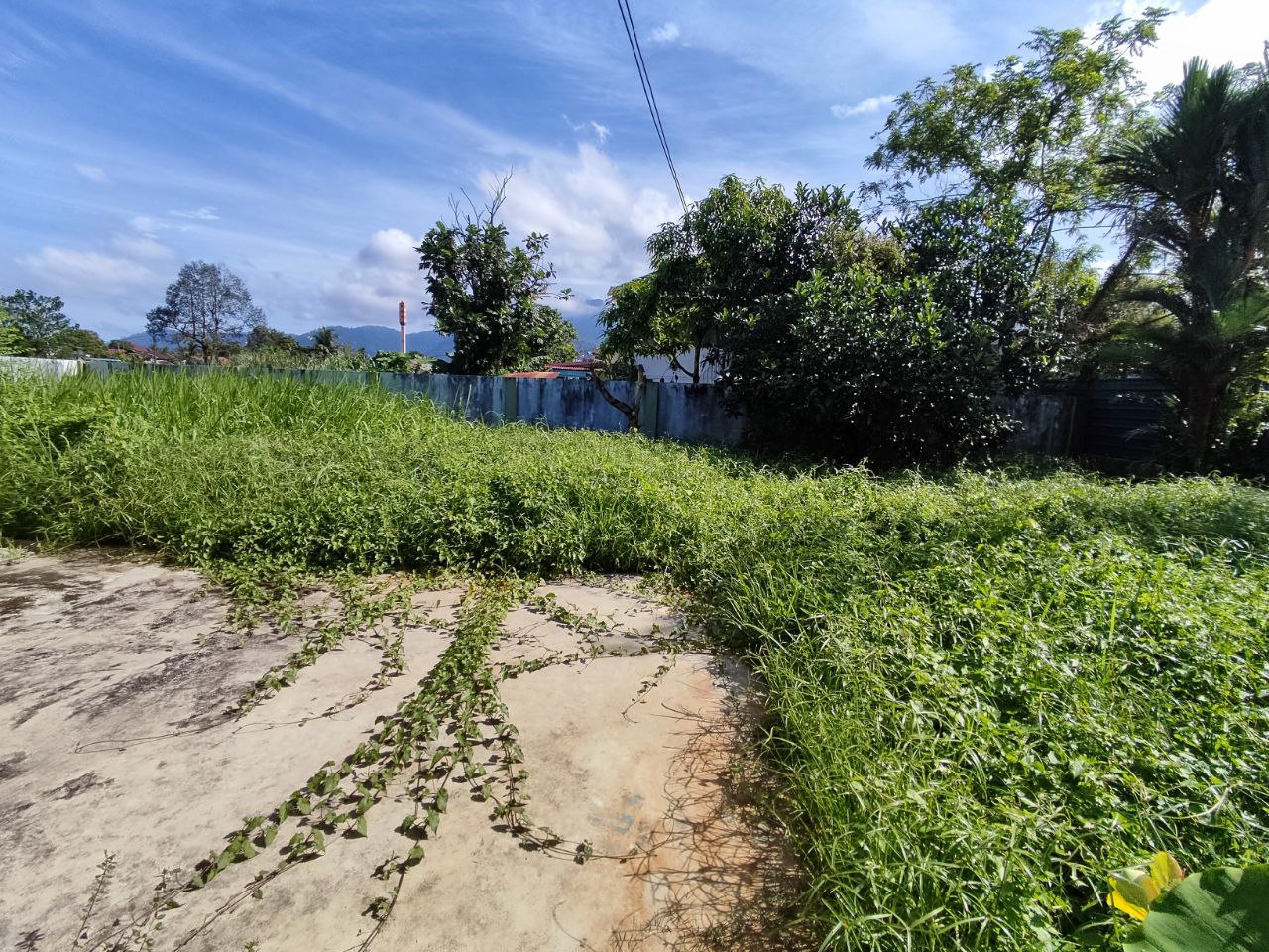 Freehold Bungalow Kampung Potong Pinang For Sale - photo 9