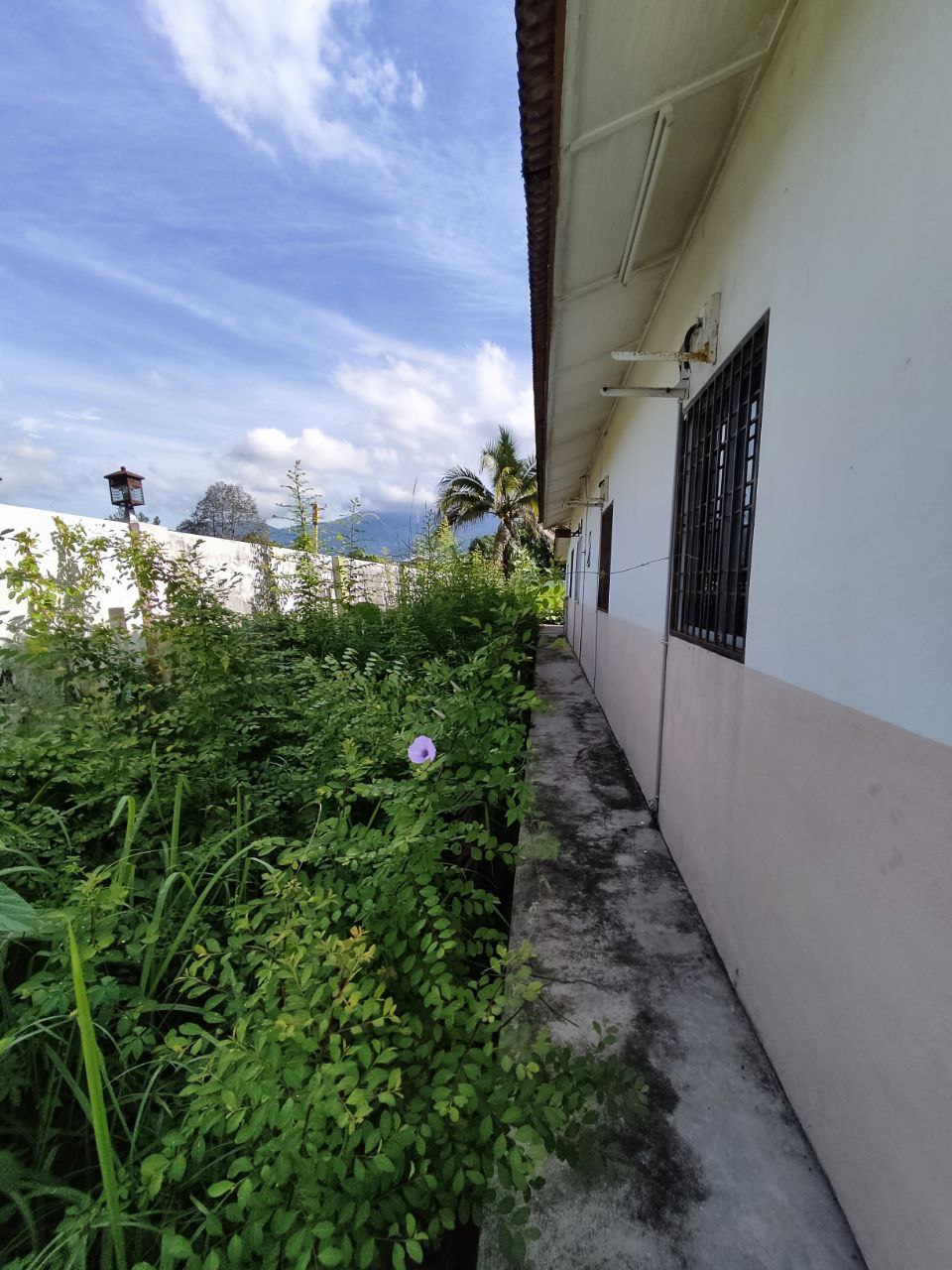 Freehold Bungalow Kampung Potong Pinang For Sale - photo 10