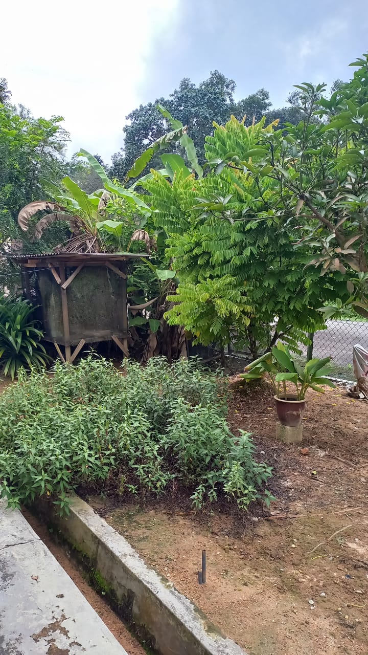 Single Storey Taman Jana Jaya Kamunting For Sale - photo 4