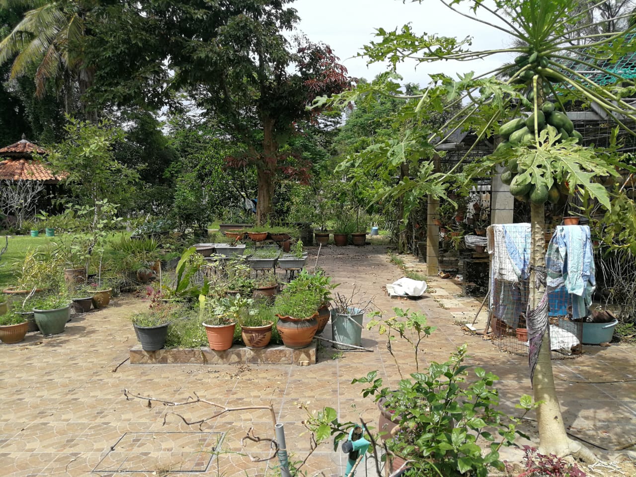 Bungalow For Sale in Prime Location Ipoh - photo 3