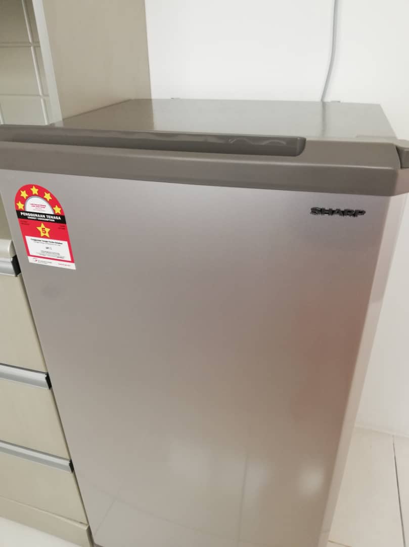Fully Furnished Seri Tecoma Condo for rent - photo 11