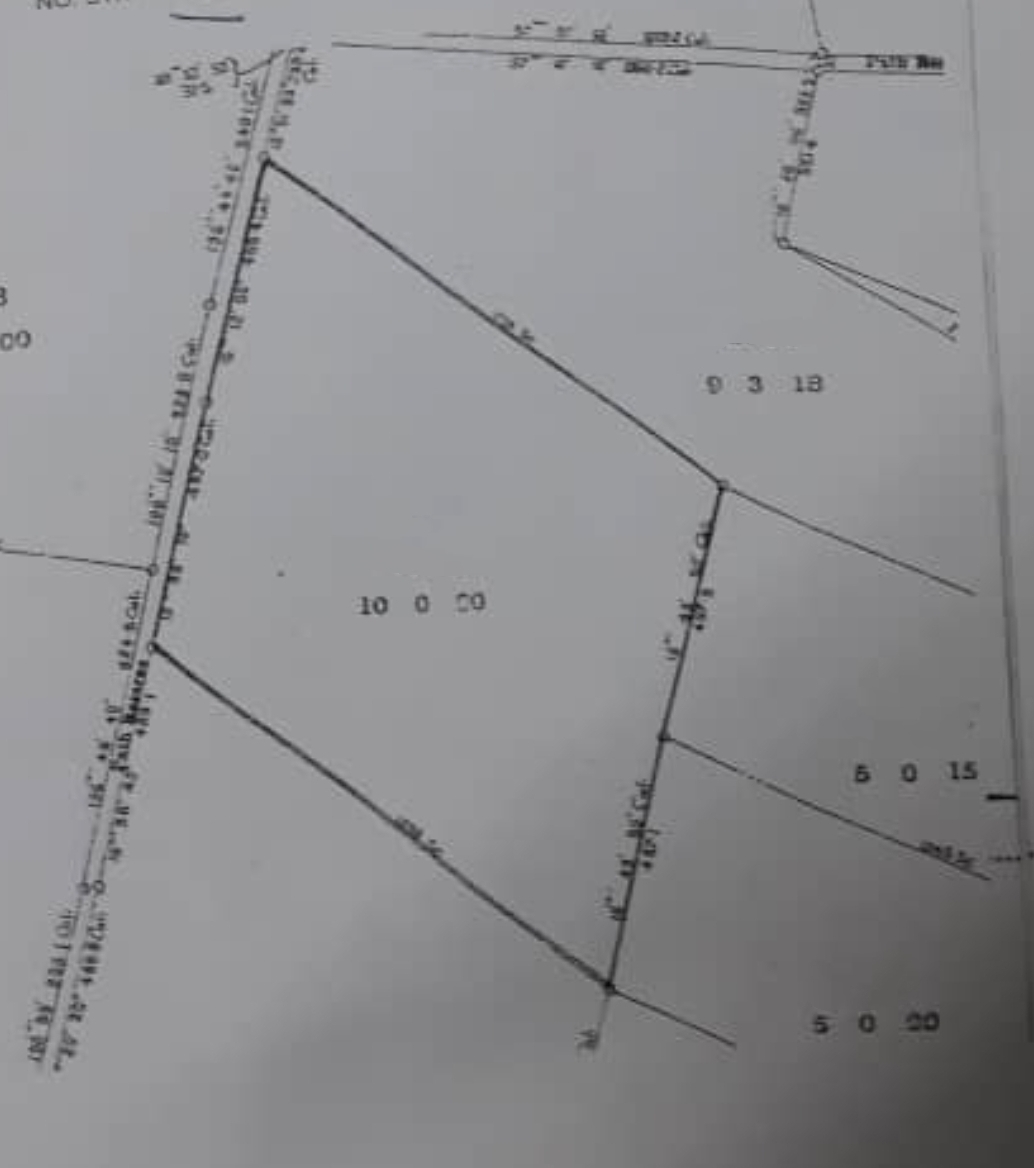 Perak Lenggong 10 Acres Agriculture Land for sale - photo 2