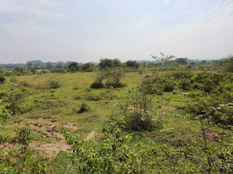 5 Acres Development land for sale near Batu Gajah - photo 4