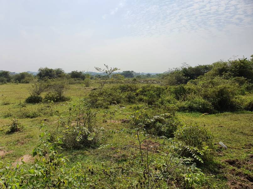 5 Acres Development land for sale near Batu Gajah - photo 5
