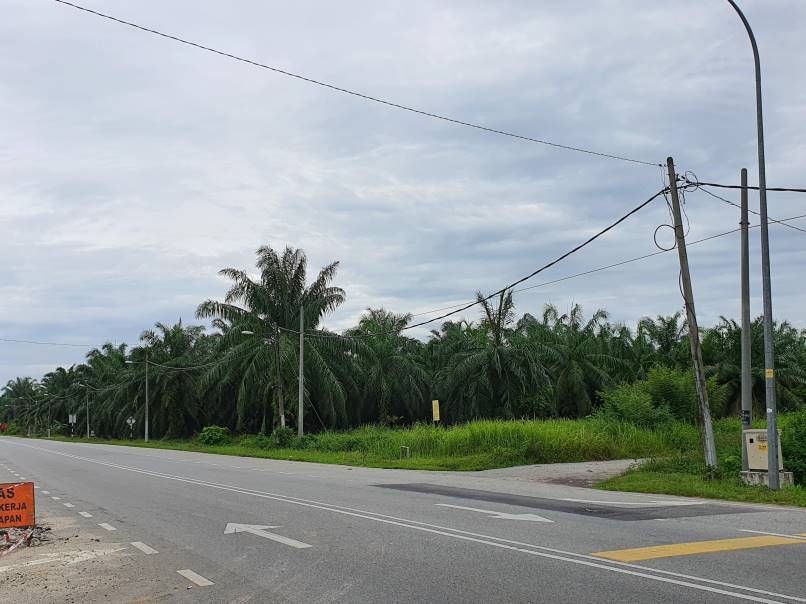 Bagan Serai 48 Acres Palm Oil Land for sale - photo 2