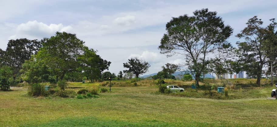 Afamosa - photo 5