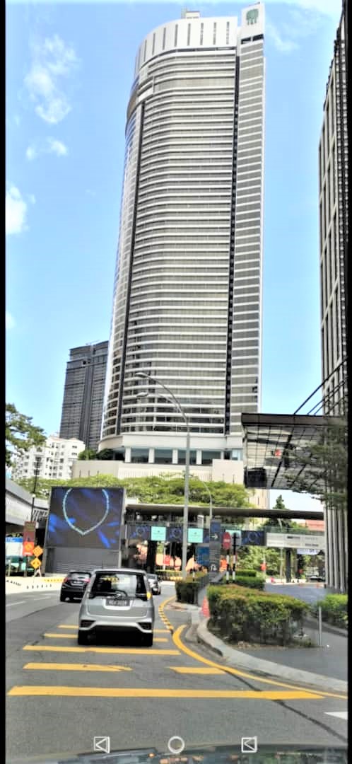 BANYAN TREE 2B - photo 5