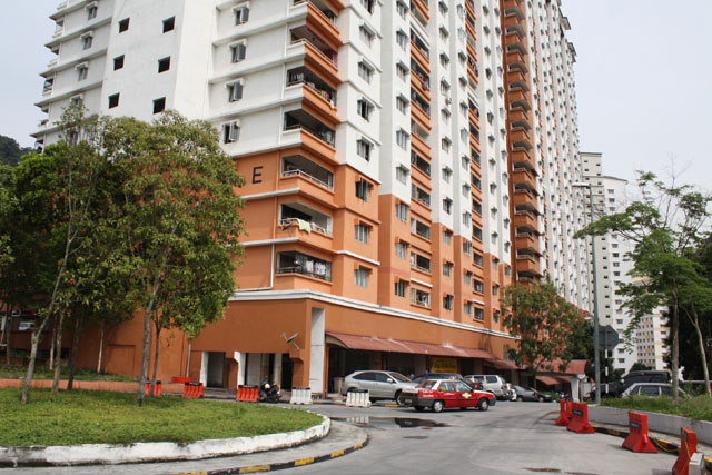 Flora Damansara - photo 2