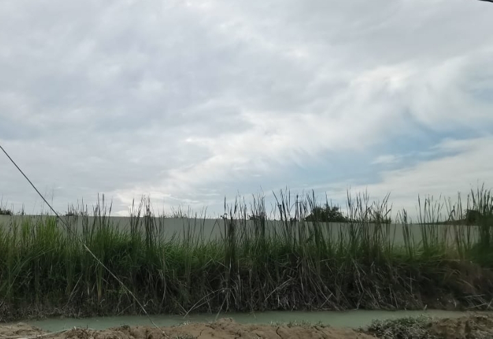Klang Agriculture Land For Sale at Good Location - photo 2