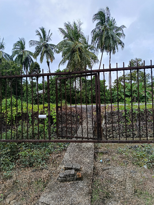 Kampung rebak - photo 4