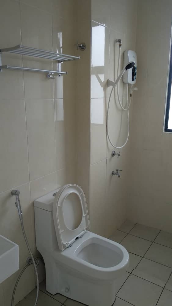 Shamelin - photo 4