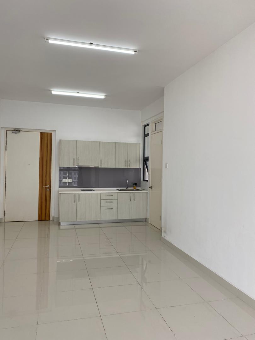 Shamelin Star - photo 13