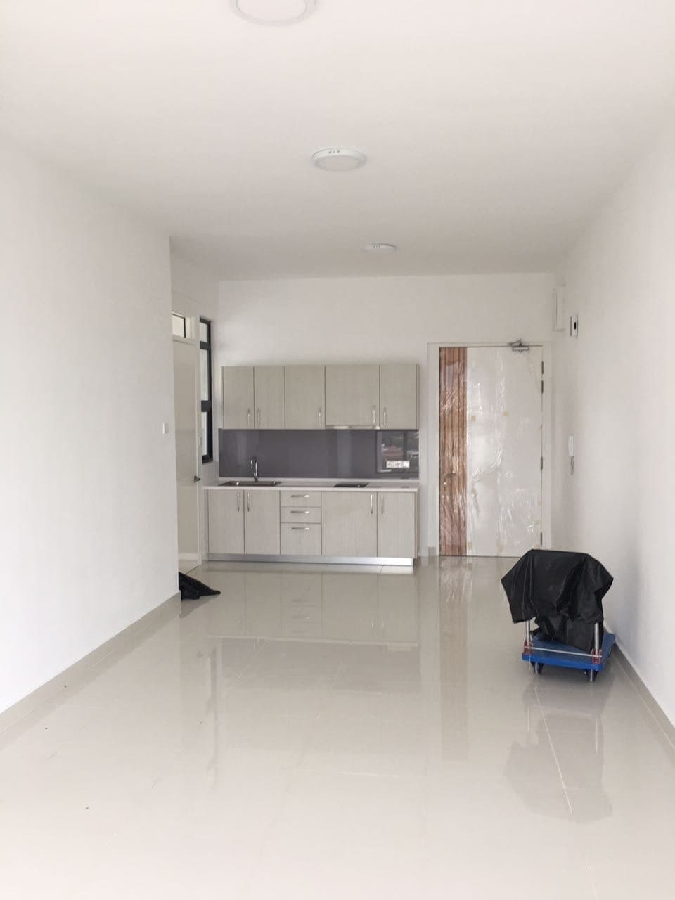 Shamelin Star Service Condominium - photo 1