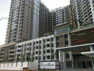 Covillea - photo 5