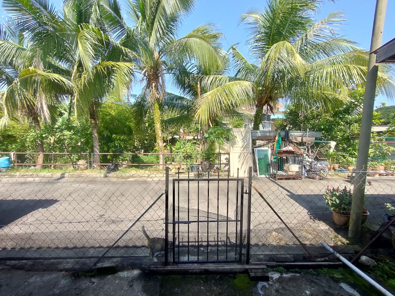 Taman pj perdana, seremban - photo 7