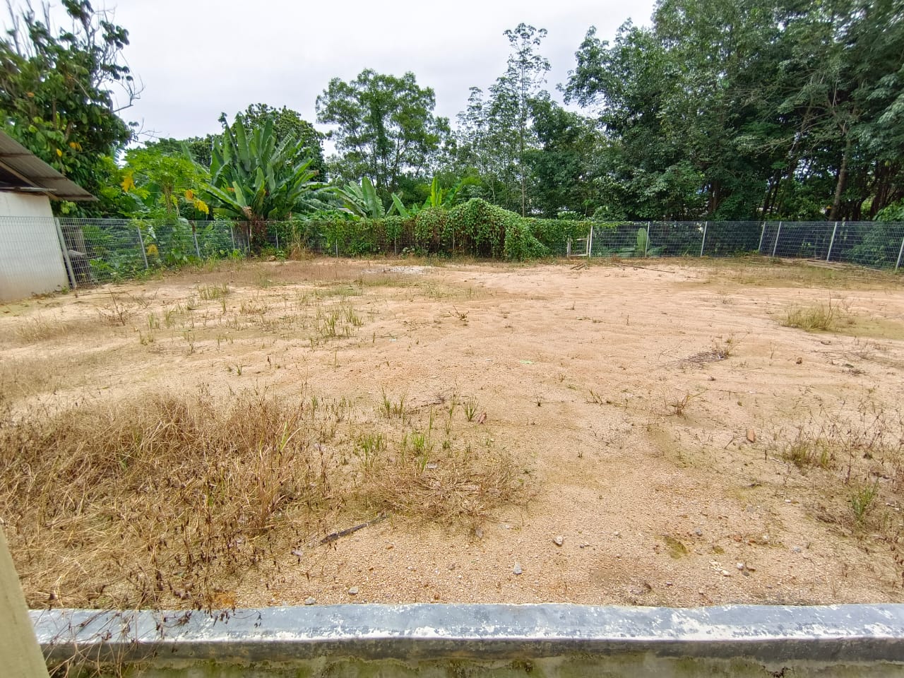 Jiboi baru - photo 6