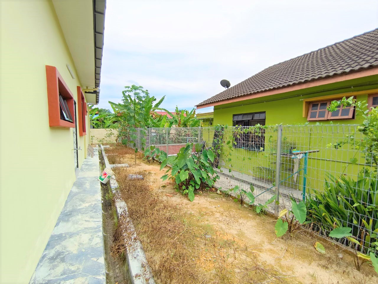 Jiboi baru - photo 8