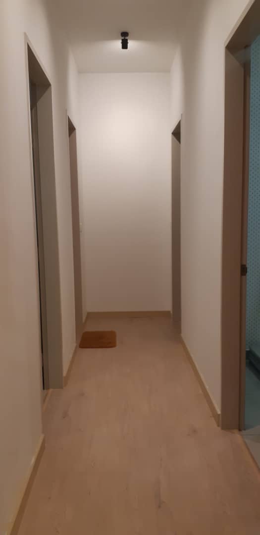 FULL RENO ID Citizen Old Klang Road for Sale - photo 5