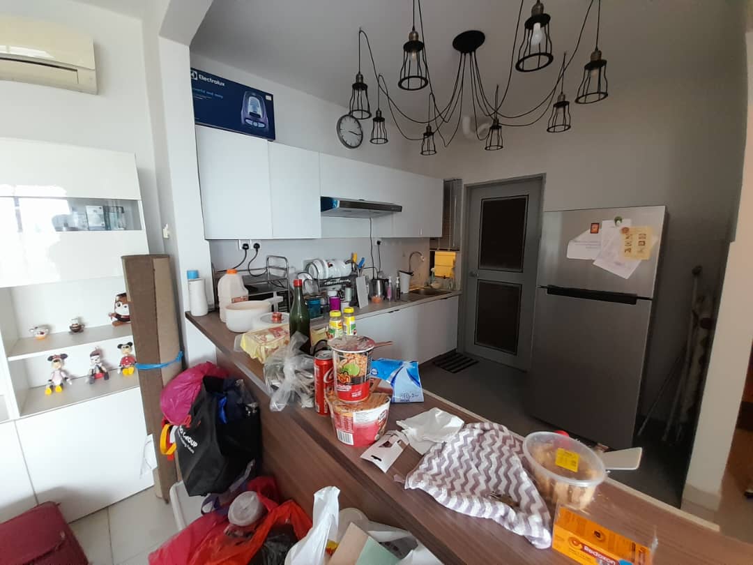 DK Senza 4 Bedroom Unit For Sale - photo 6