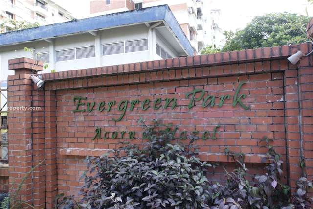 Evergreen Park Acorn Hazel 1140sf 3R2B FF , SgLong