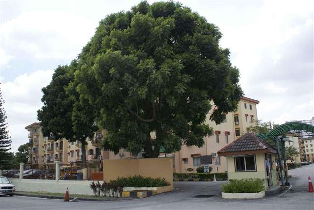 Goodyear Court 3 , 954sf 3R2B BF , USJ - photo 2