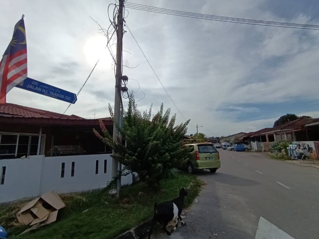 RENOVATED SINGLE STOREY TERRACE KAPAR - photo 13