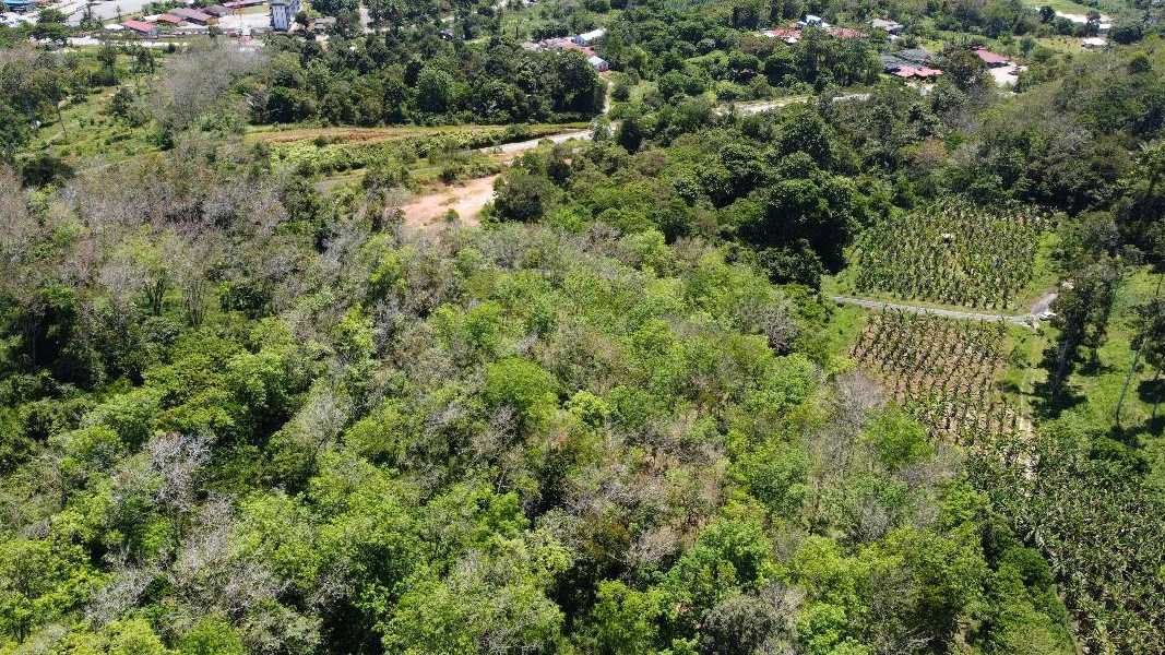 Tanah lot Pertanian Untuk Dijual Di Kota Tampan Lenggong Hulu Perak  - photo 3